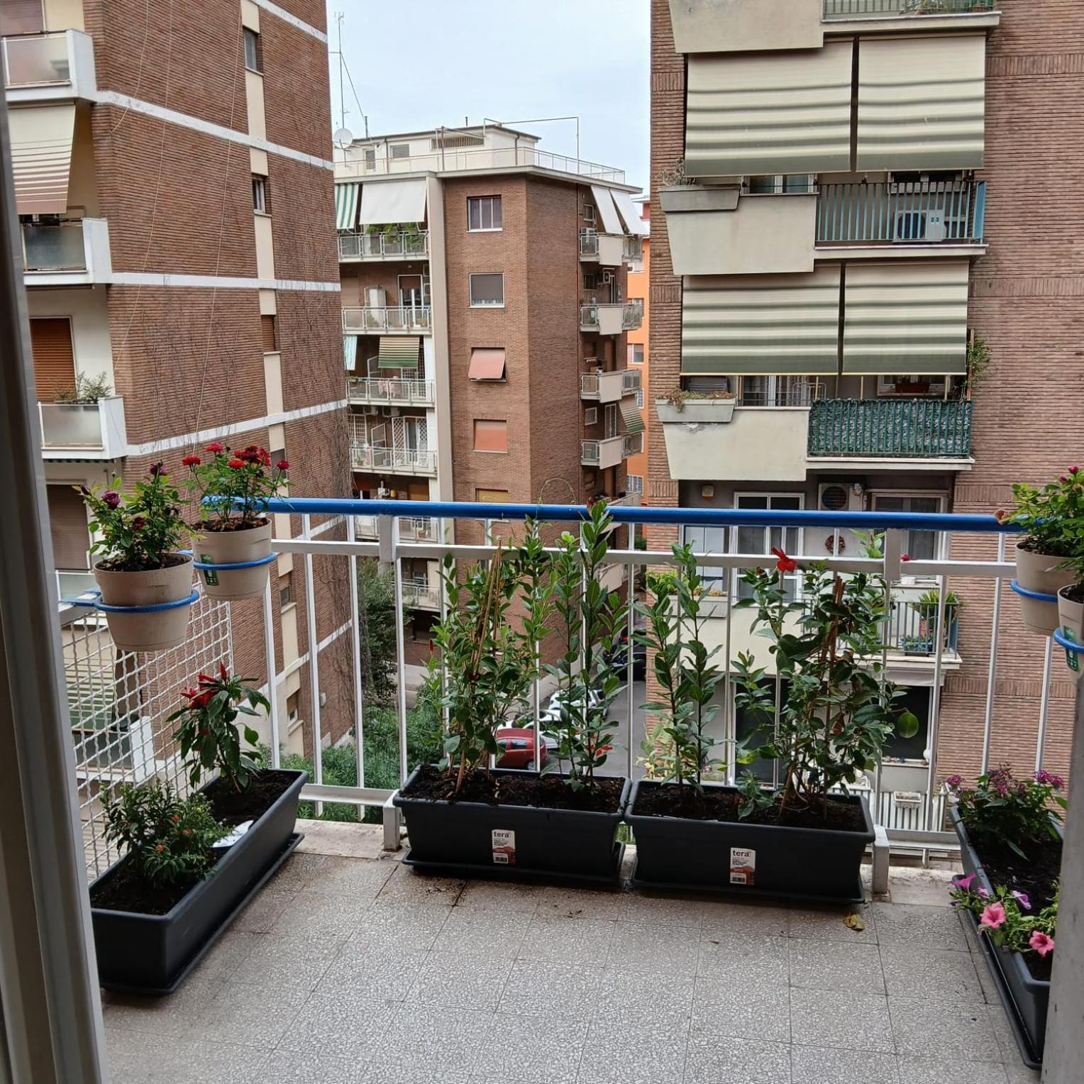 Grand Nomentana Roma Apartment Exterior photo